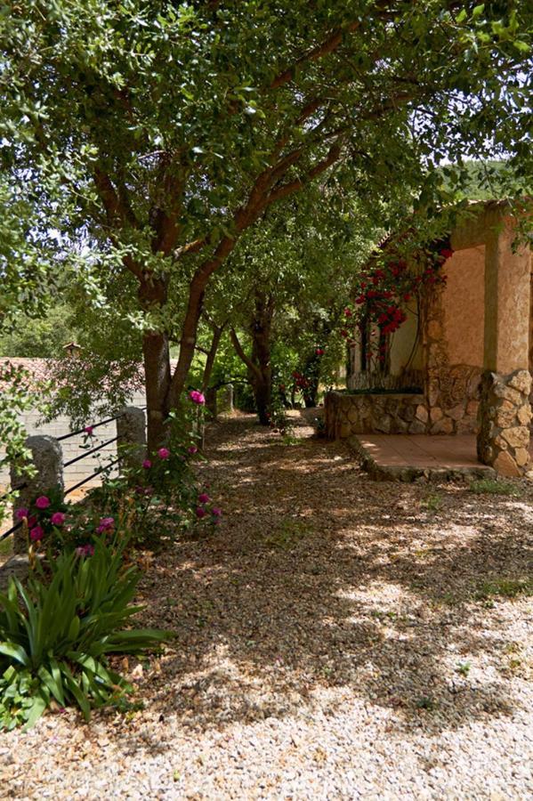 Cortijo Prados Casas Rurales Amable- Yeste מראה חיצוני תמונה
