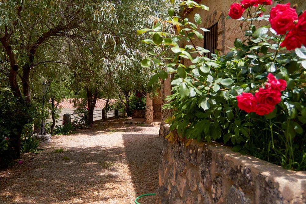 Cortijo Prados Casas Rurales Amable- Yeste מראה חיצוני תמונה