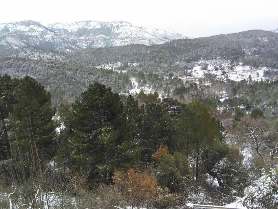 Cortijo Prados Casas Rurales Amable- Yeste מראה חיצוני תמונה
