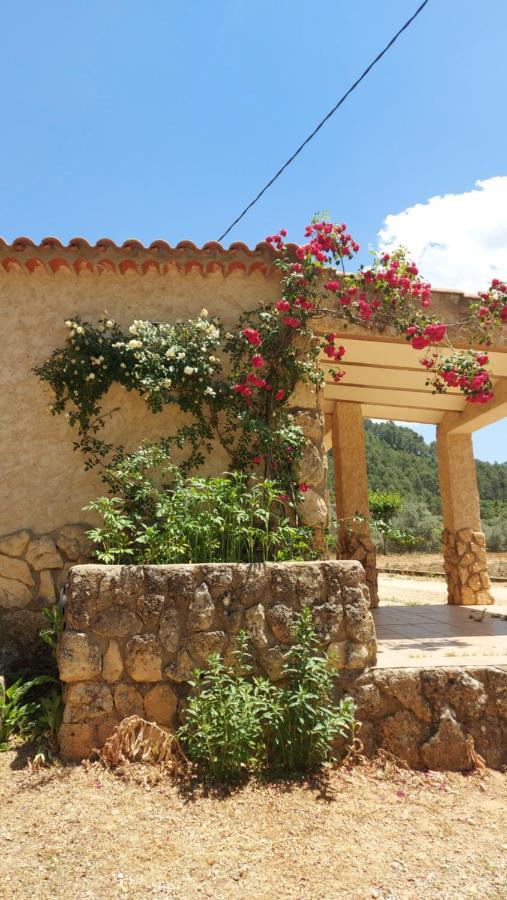 Cortijo Prados Casas Rurales Amable- Yeste מראה חיצוני תמונה