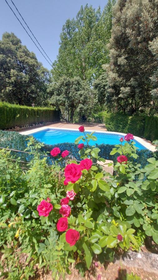 Cortijo Prados Casas Rurales Amable- Yeste מראה חיצוני תמונה